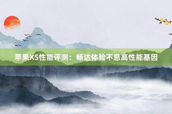 苹果XS性能评测：畅达体验不息高性能基因